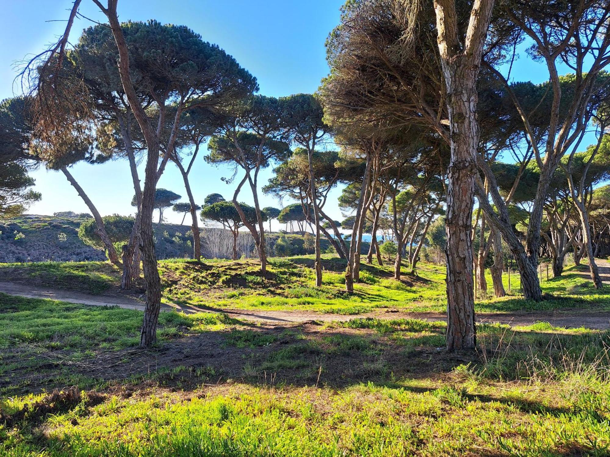 Sea Wave Sounds, Meco, By The Beach Sesimbra Dış mekan fotoğraf